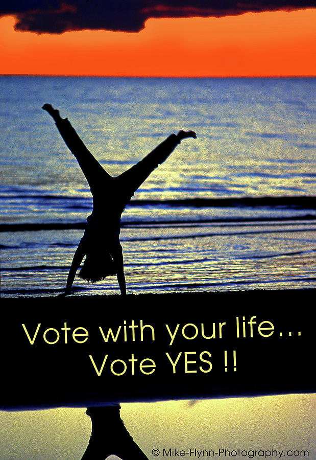 Vote with Your Life Photograph by Mike Flynn