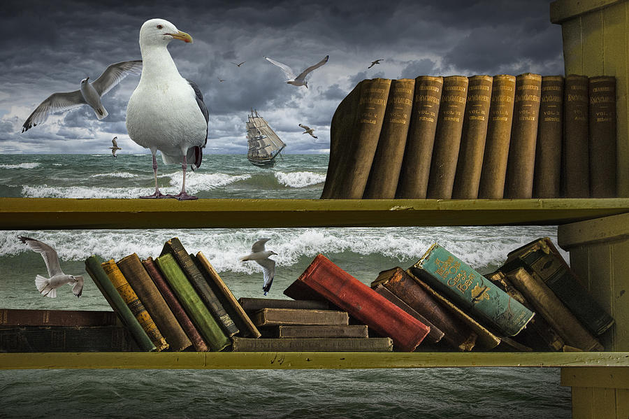 Voyage into the World of Books Photograph by Randall Nyhof