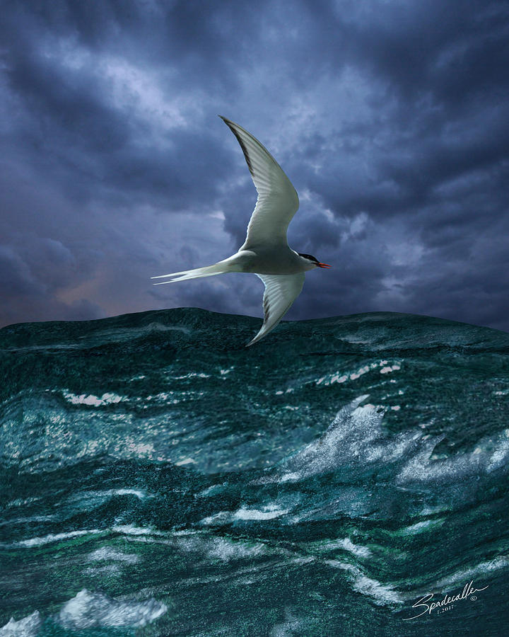 Voyage of the Arctic Tern Digital Art by M Spadecaller