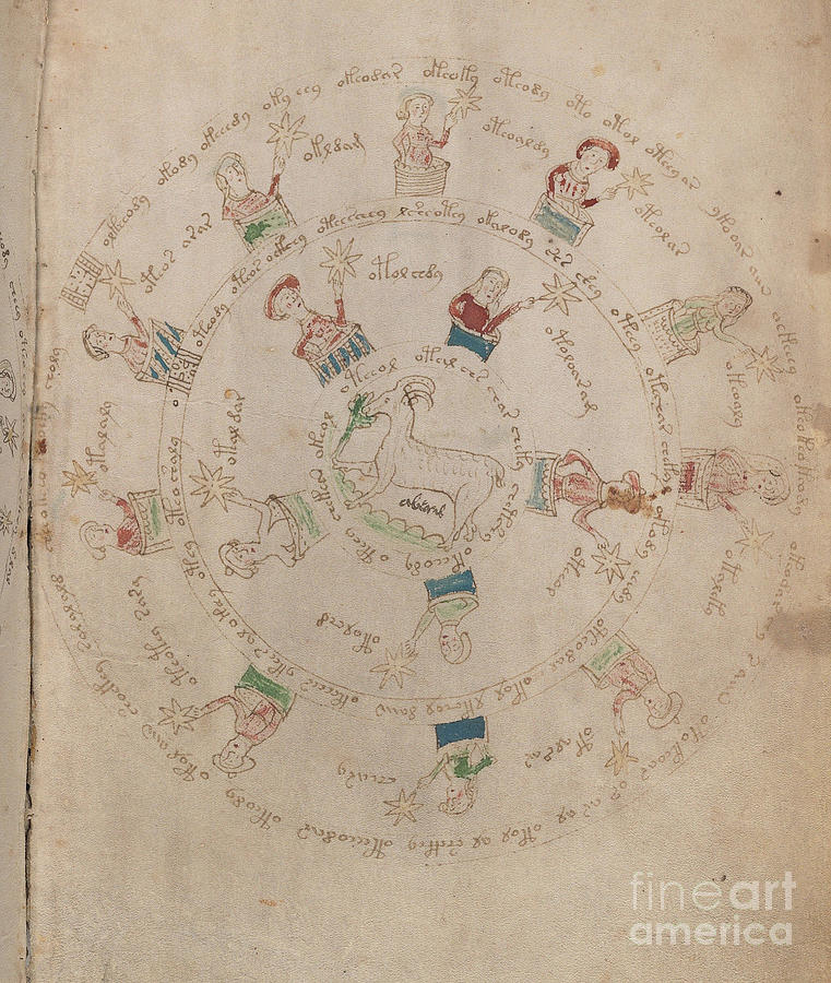 Voynich Manuscript Astro Aries Drawing by Rick Bures