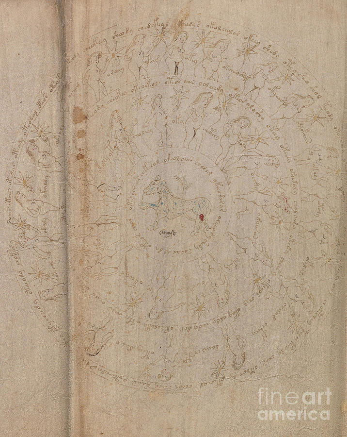 Voynich Manuscript Astro Leo Drawing by Rick Bures