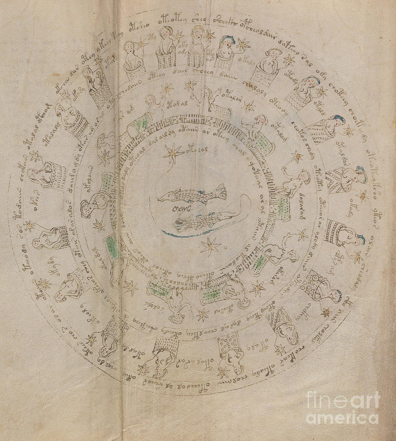 Voynich Manuscript Astro Pisces Drawing by Rick Bures