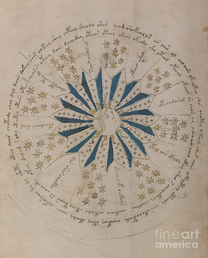 Voynich Manuscript Astro Rosette 1 Drawing by Rick Bures