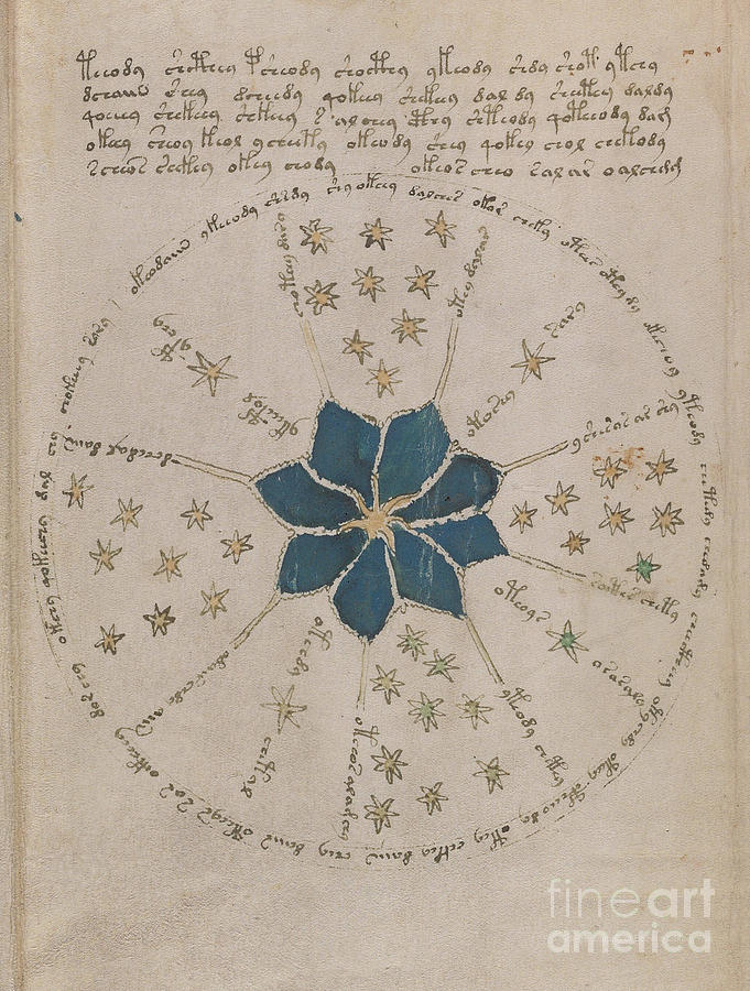 Voynich Manuscript Astro Rosette 2 Drawing by Rick Bures