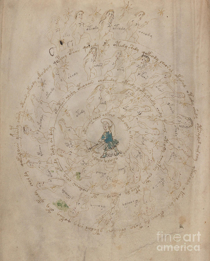 Voynich Manuscript Astro Sagittarius Drawing by Rick Bures
