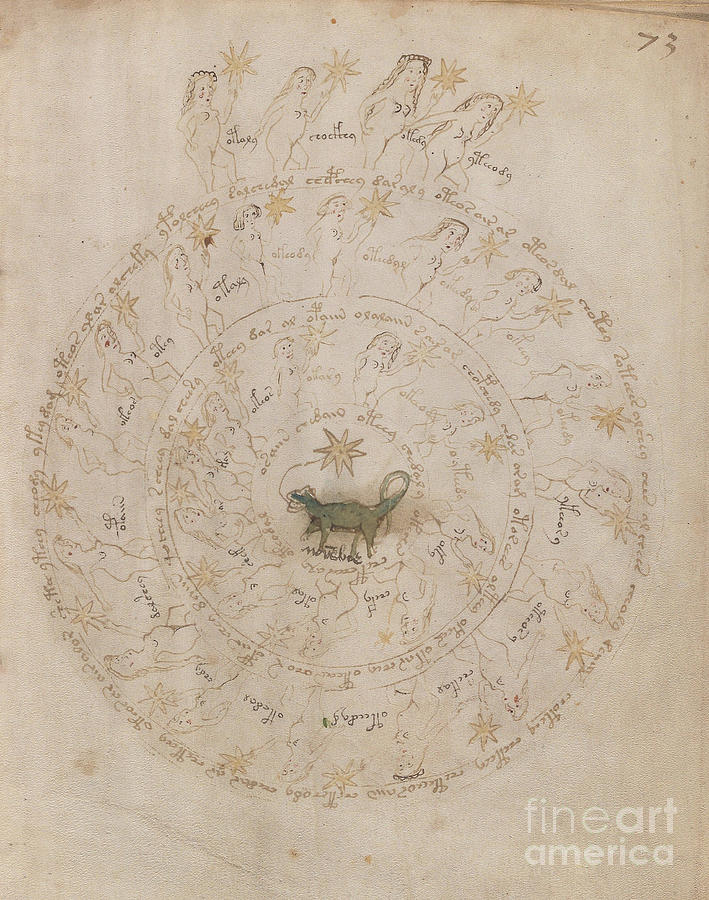 Voynich Manuscript Astro Scorpio Drawing by Rick Bures