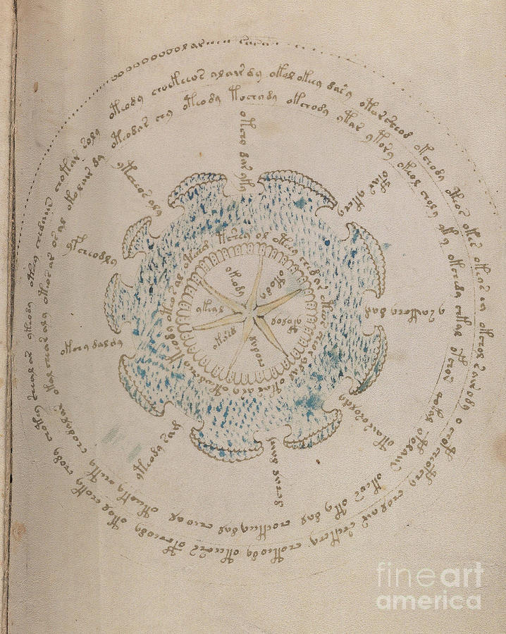 Voynich Manuscript Astro Star Central 1 Drawing by Rick Bures
