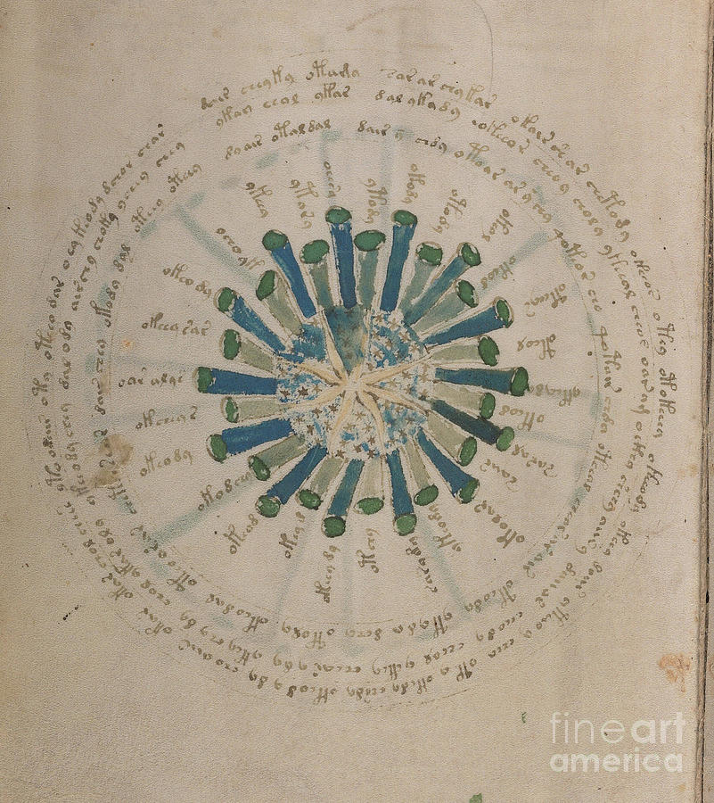 Voynich Manuscript Astro Star Central 2 Drawing by Rick Bures