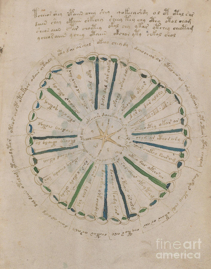 Voynich Manuscript Astro Star Central 3 Drawing by Rick Bures