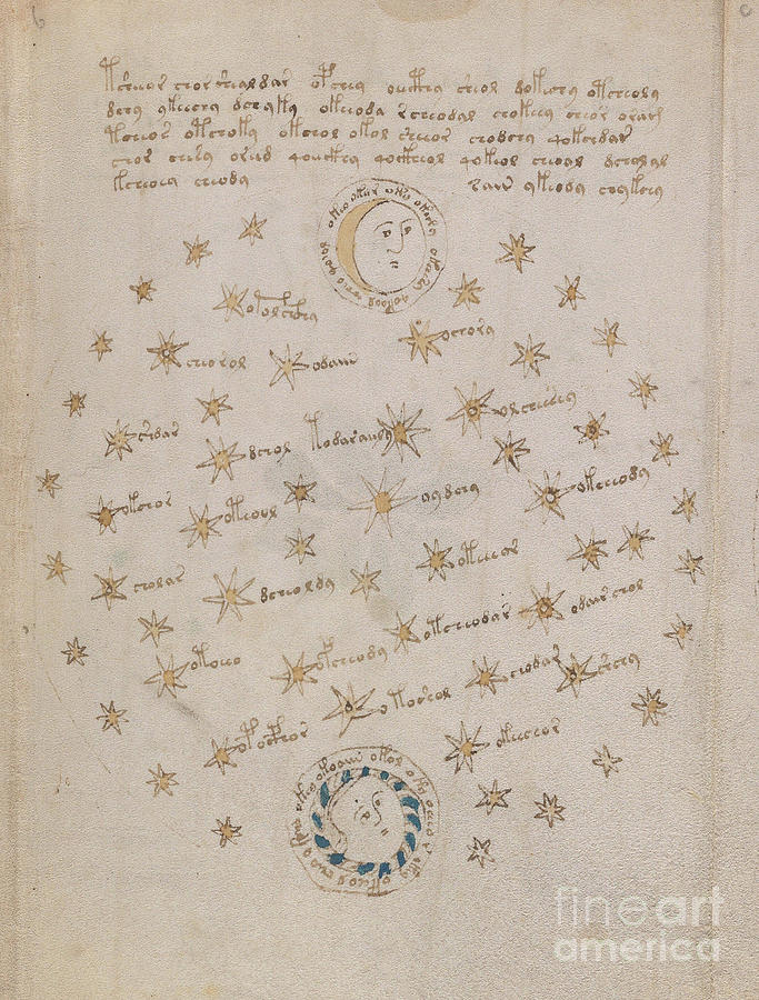 Voynich Manuscript Astro Sun and Moon 1 Drawing by Rick Bures
