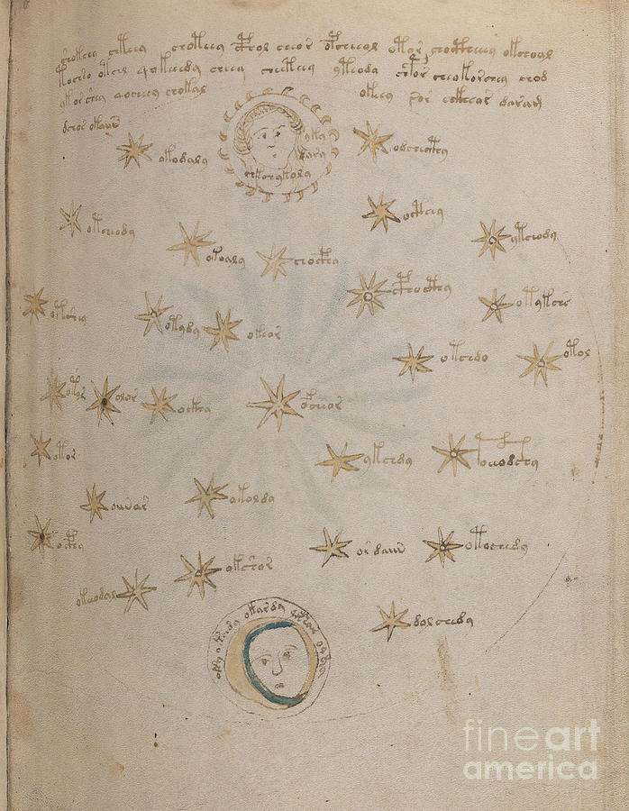 Voynich Manuscript Astro Sun and Moon 2 Drawing by Rick Bures