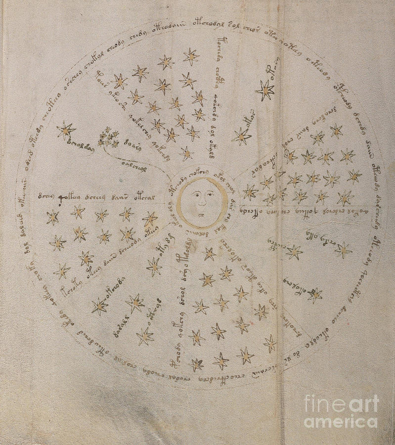 Voynich Manuscript Astro Sun Central 4 Drawing by Rick Bures
