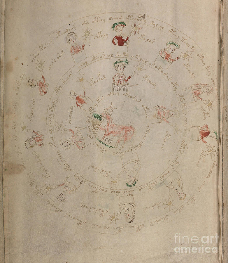 Voynich Manuscript Astro Taurus 2 Drawing by Rick Bures