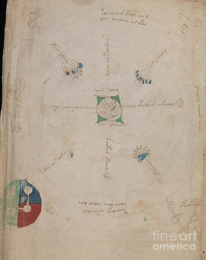 Voynich Manuscript Astro Universe 2 Drawing by Rick Bures
