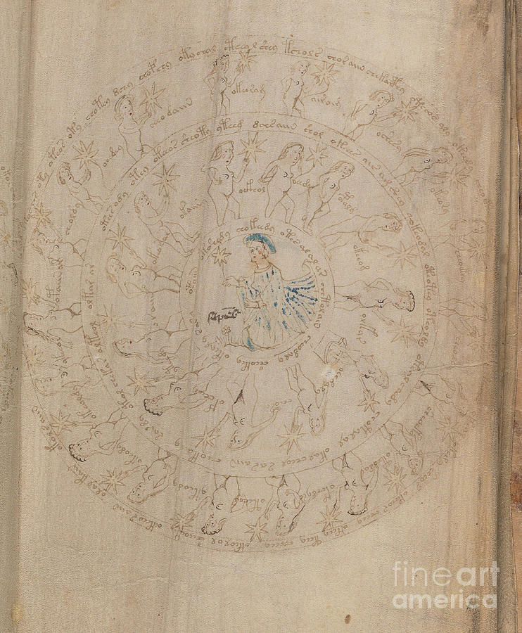Voynich Manuscript Astro Virgo Drawing by Rick Bures