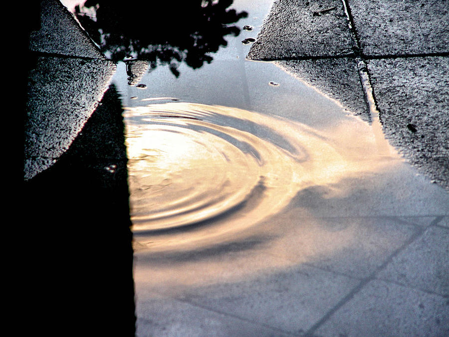 Abstract Photograph - Vulnerable Realization by William Seguin Abstract Photograph - Vulnerable Realization by William Seguin