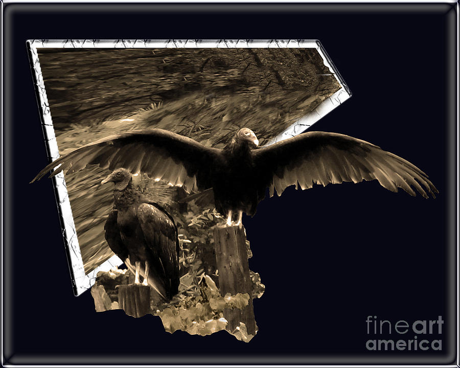 Vulture 3D Photograph by Donna Brown