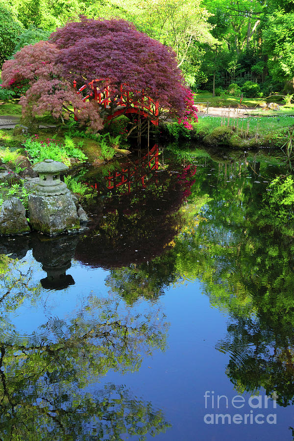 Spring Japanese Garden Photograph by Anastasy Yarmolovich