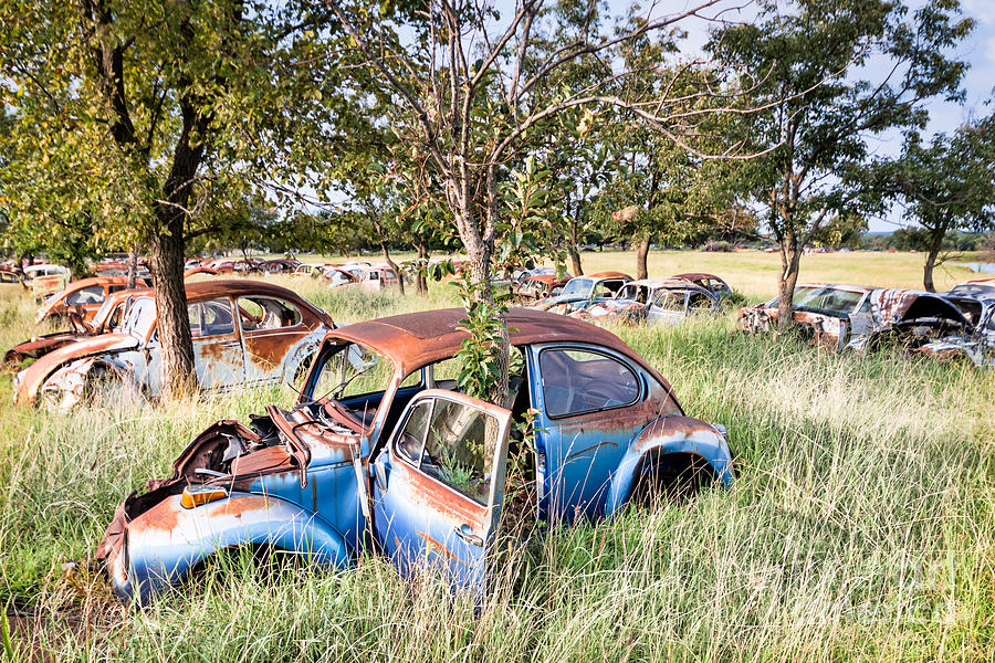 Vw Graveyard Photograph by Lawrence Burry