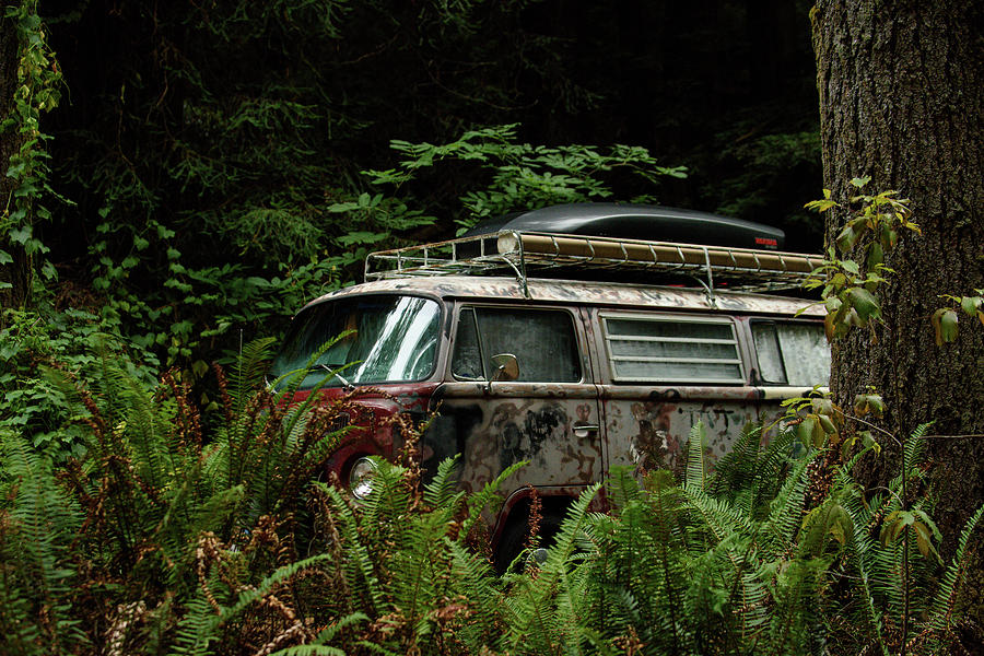 VW Hides in the Woods Photograph by Richard Kimbrough