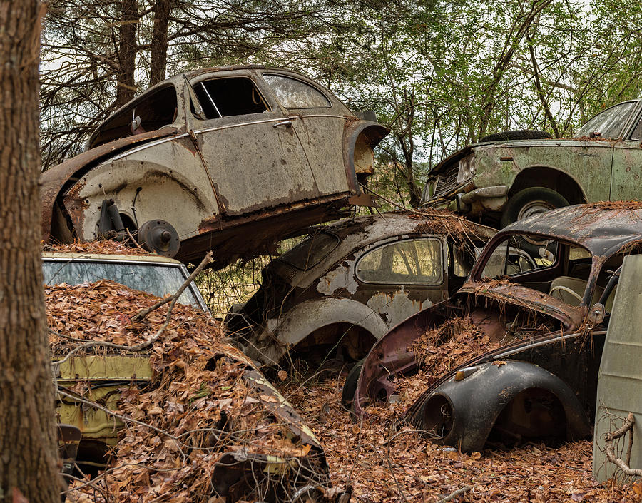 VW pile up Photograph by Roni Chastain
