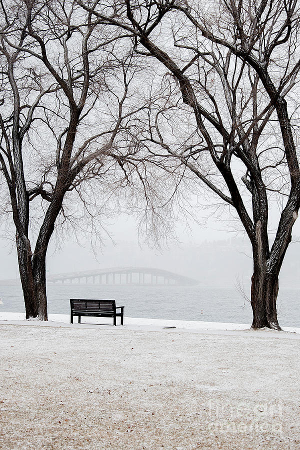 W R Bennett Bridge by David Emond W R Bennett Bridge by David Emond