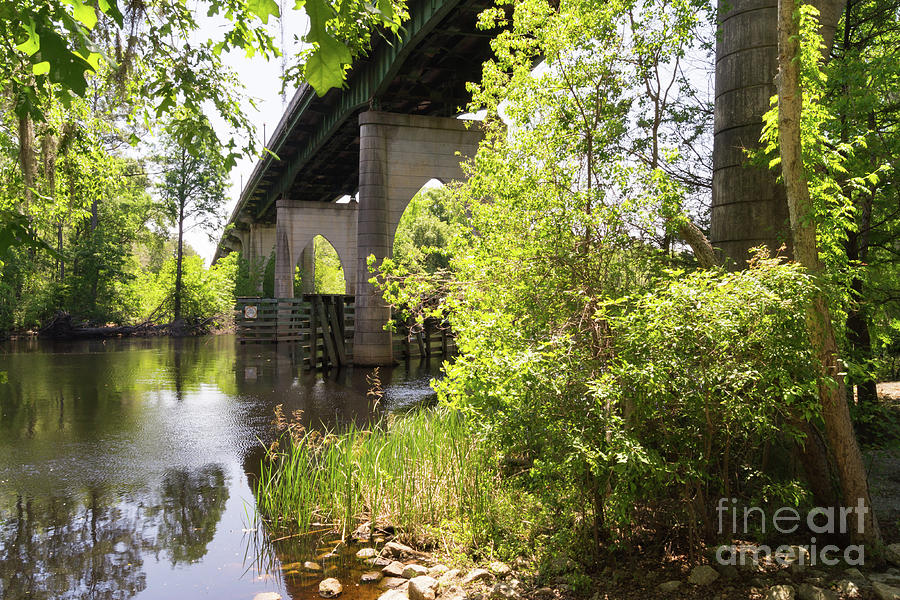 Waccamaw Memorial Bridge by the Riverbank in May Photograph by MM Anderson