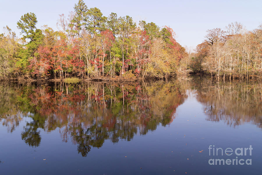 Waccamaw River in November Photograph by MM Anderson