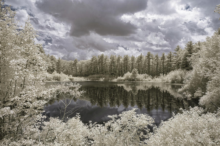 Wachusett Reservoir Pond in IR Photograph by Brian Hale