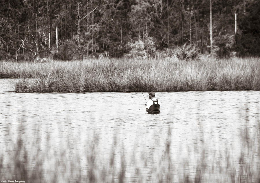 Wading Fisherman Black and White Photograph by Debra Forand