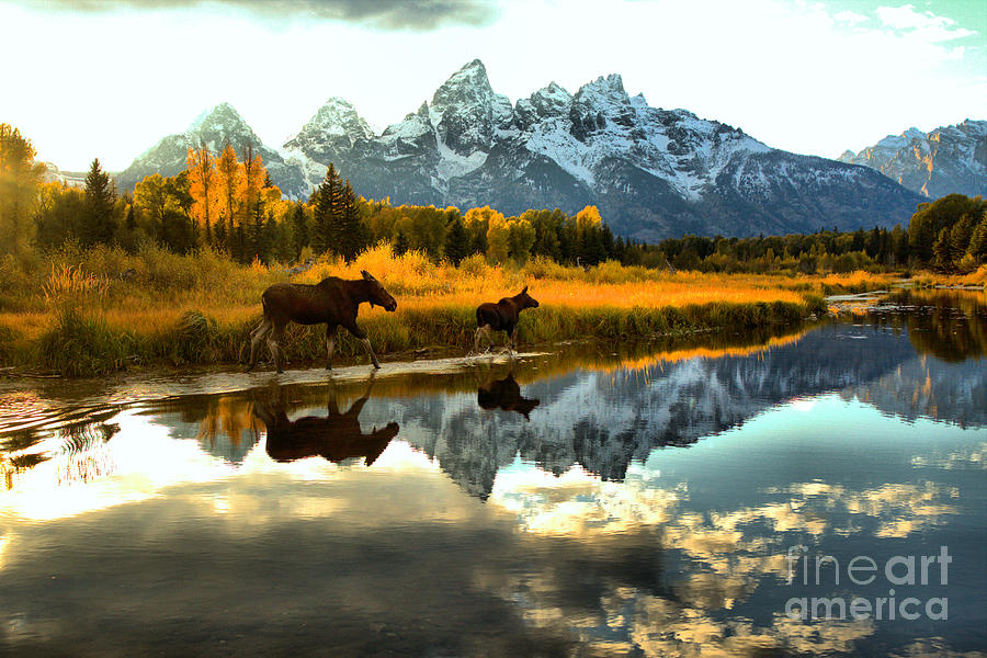 Wading Through The Tetons Photograph by Adam Jewell