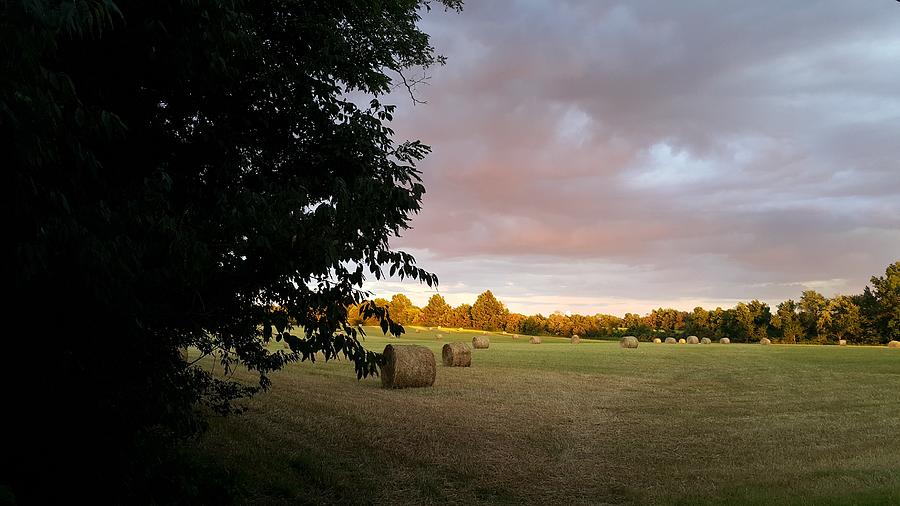 Landscape Photograph - Wadsworth Field by Yazid Ismail Landscape Photograph - Wadsworth Field by Yazid Ismail