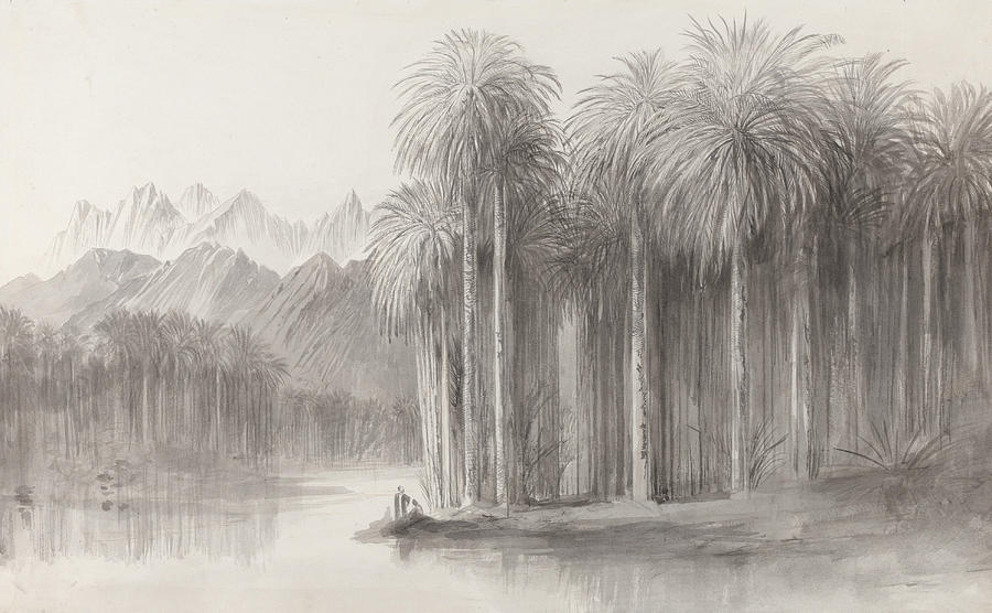 Edward Lear Drawing - Wady Feiran, Peninsula of Mt. Sinai by Edward Lear