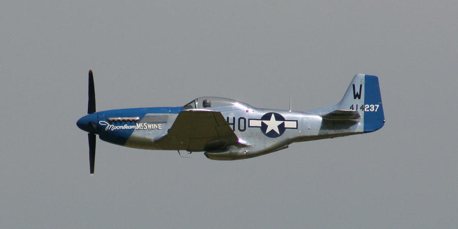 Airplane Photograph - WAFB 09 P51 MUSTANG 1 - Darling Of The Sky by David Dunham