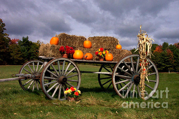 Wagon and Pumpkins Photograph by Linda Drown