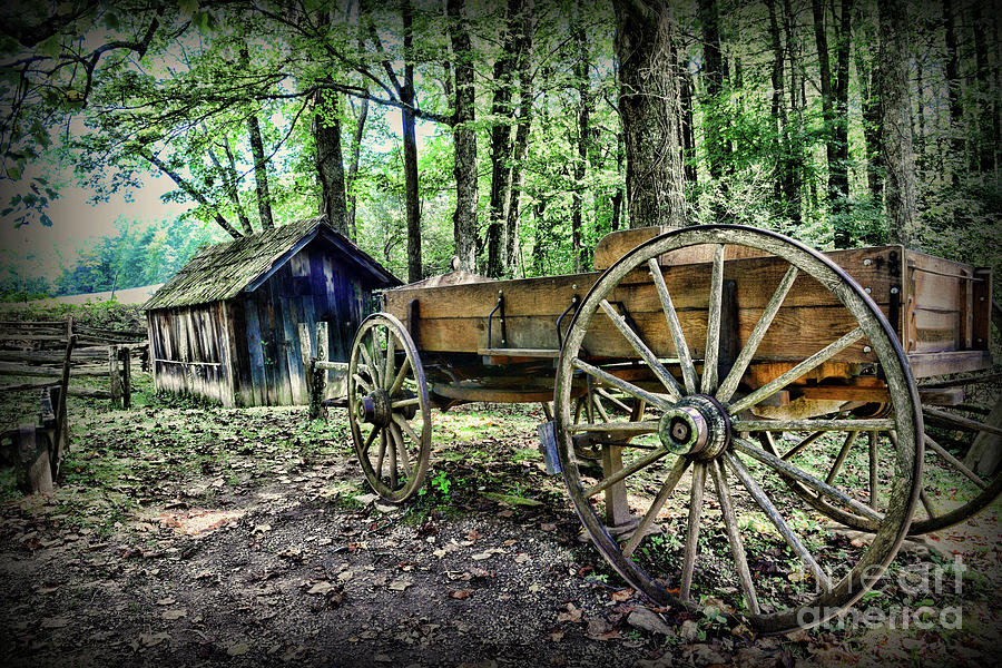 Wagon at the Cabin Photograph by Paul Ward
