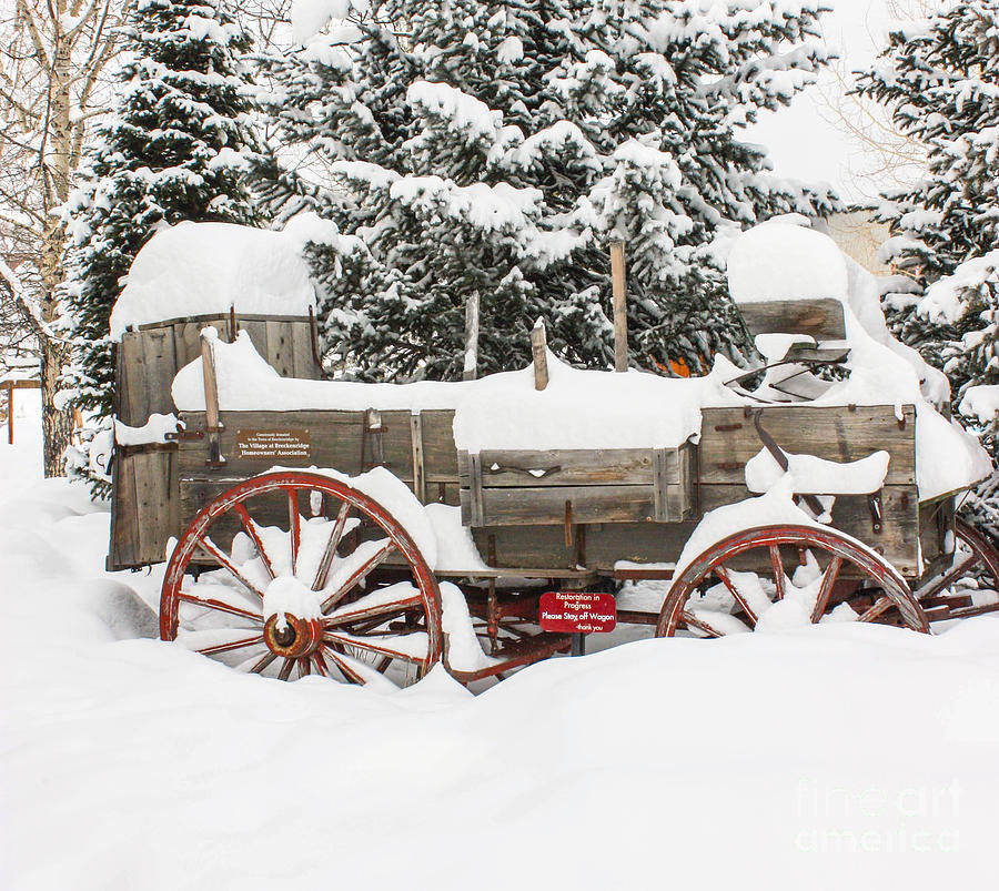 Wagon buried in the Snow Photograph by Greg Plamp - Fine Art America