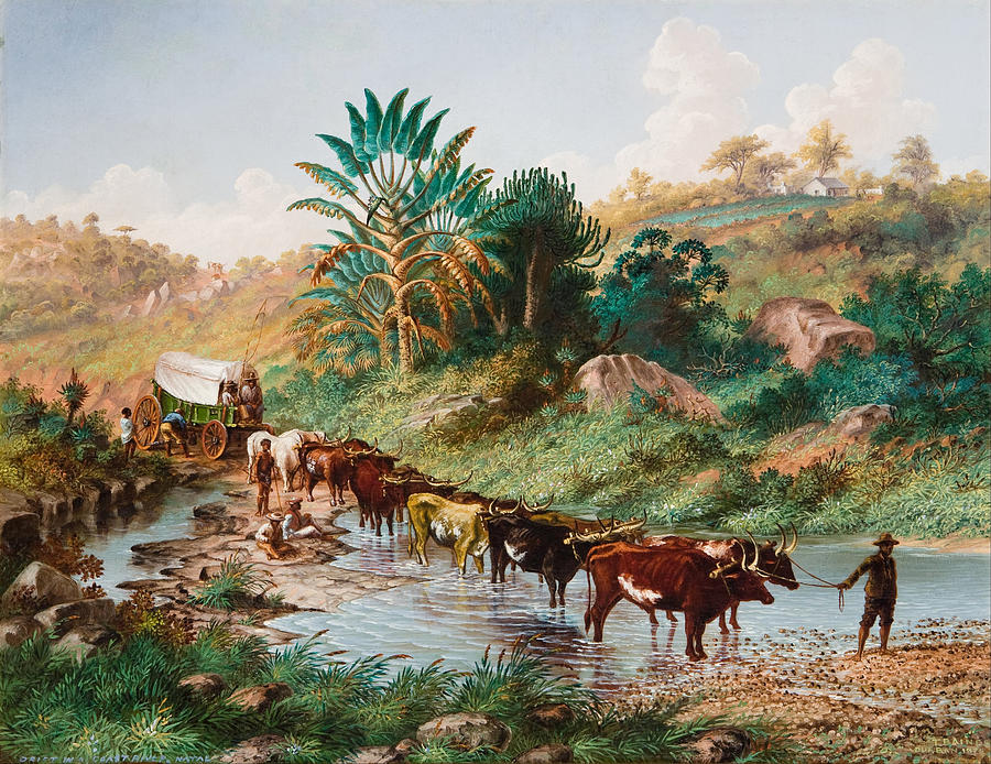 Wagon Crossing a Drift. Natal Painting by Thomas Baine