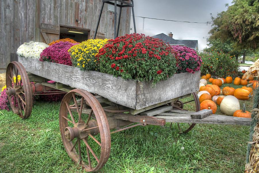 Wagon Farm mums pumpkin agriculture barn Photograph by Jane Linders