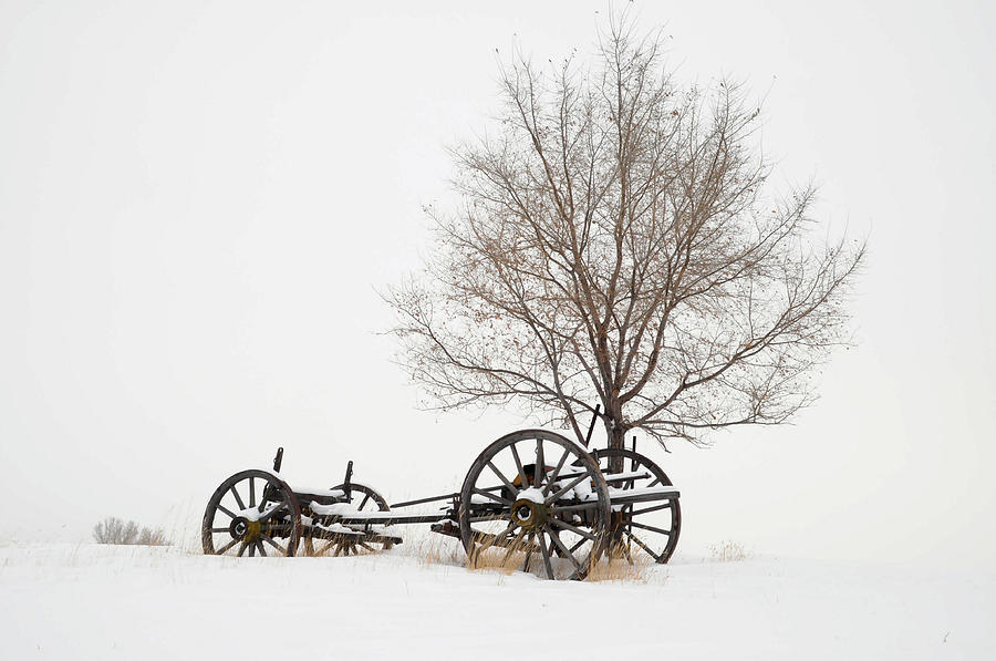 Wagon in the Snow by Dave Rennie Wagon in the Snow by Dave Rennie