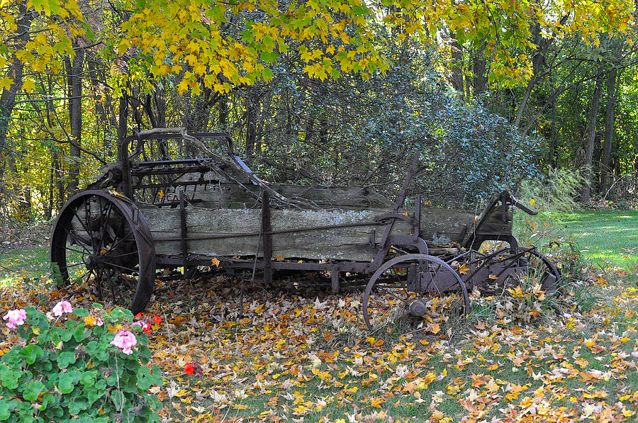 Wagon Photograph by Tim Nyberg