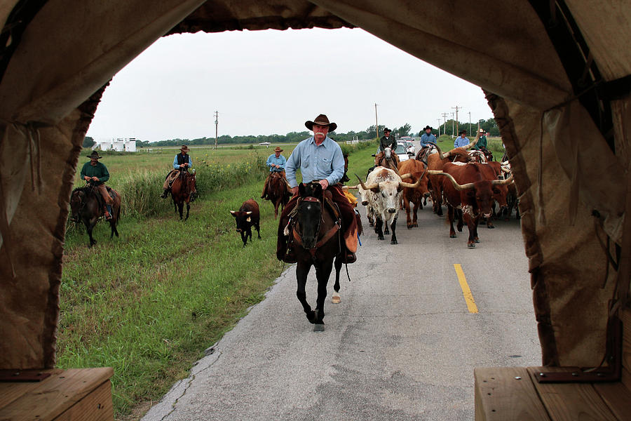 Wagon View on the Cattle Drive Photograph by Toni Hopper