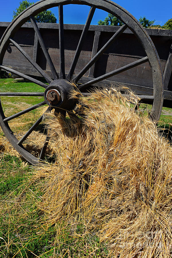 Wagon Wheel and Grain 5772 Photograph by Ken DePue