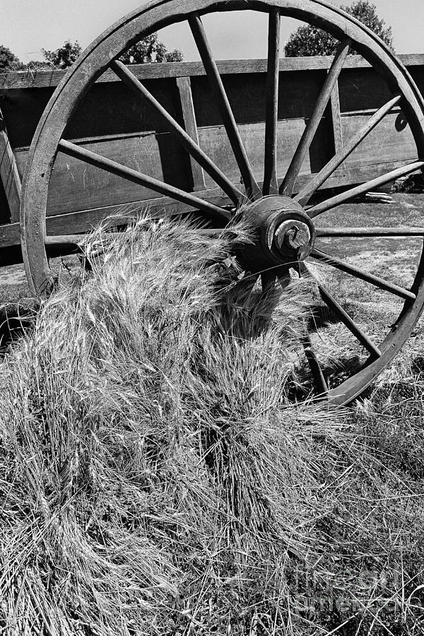 Wagon Wheel and Grain C2G 5772 Photograph by Ken DePue