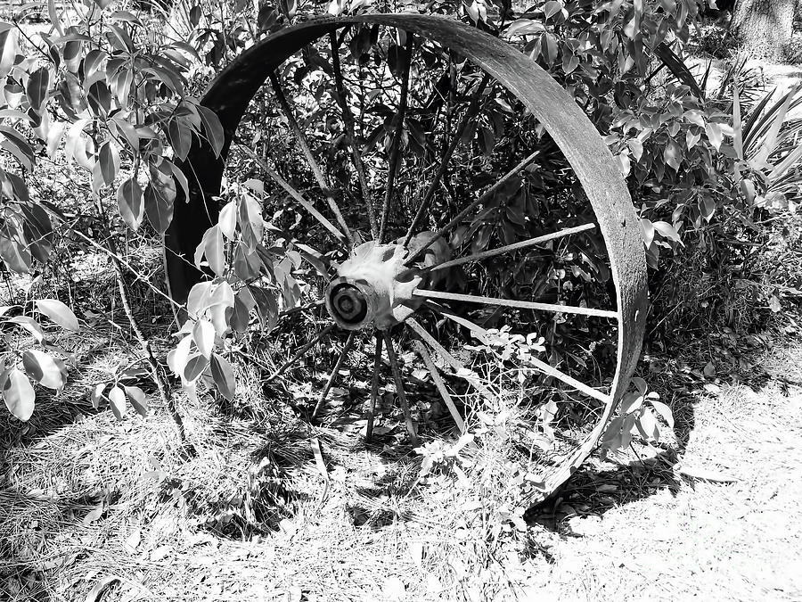 Wagon Wheel In B W Photograph by D Hackett