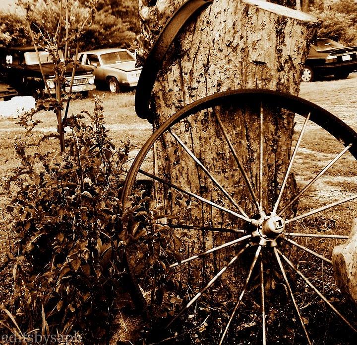 Landscape Photograph - Wagon Wheel  by Misty Reece