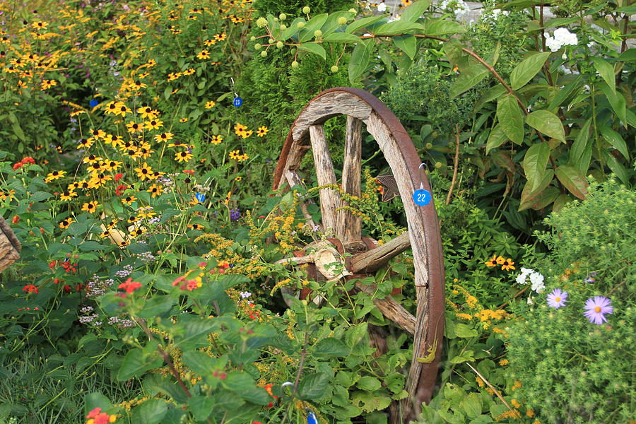 Wagon Wheel on Flowering Bridge Photograph by Karen Ruhl