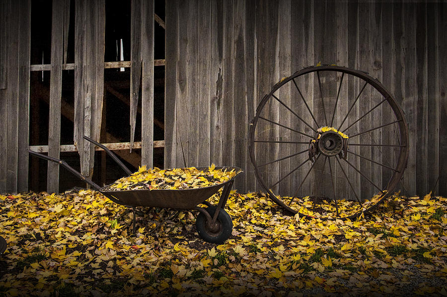 Wagon Wheel Rim and Wheel Barrel covered with Fallen Autumn Leaves Photograph by Randall Nyhof