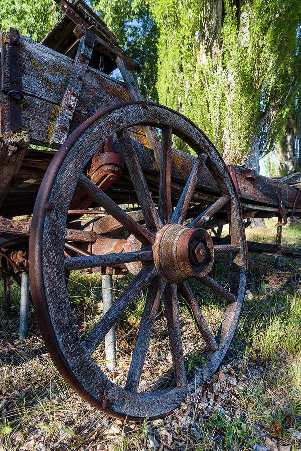 Wagon Wheel Photograph by Robert Potts