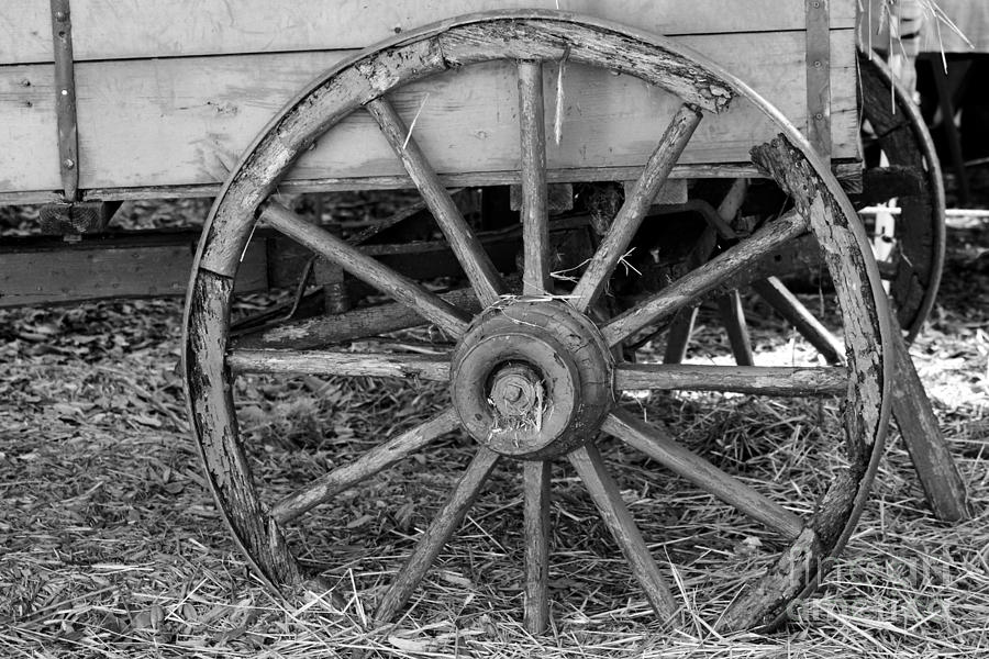Wagon Wheel Photograph by Robert Wilder Jr